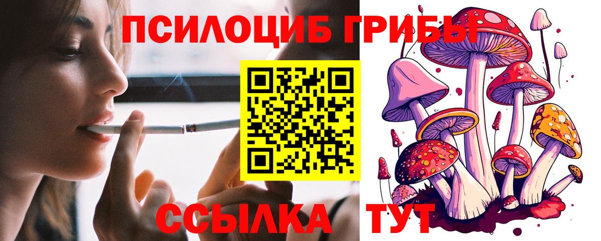 Галлюциногенные грибы мицелий Октябрьский