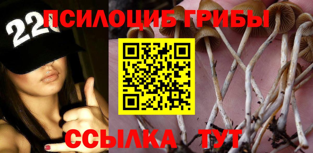 Октябрьский  Псилоцибиновые грибы Psilocybe  купить наркотики цена  Вход с VPN 